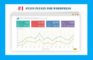 Plugin Statistik WordPress Terbaik Untuk Blog